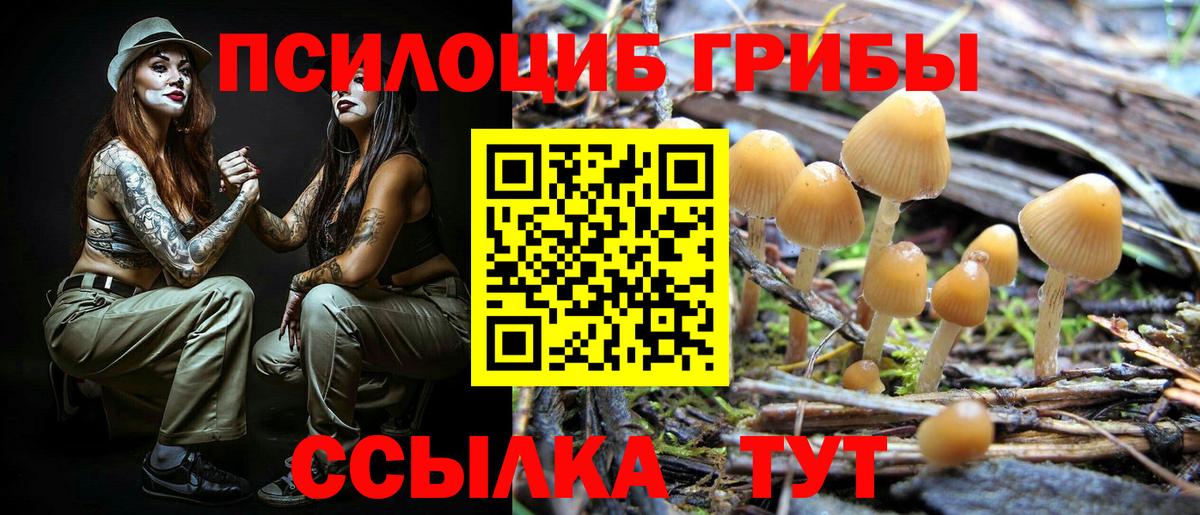 Семилуки  Галлюциногенные грибы GOLDEN TEACHER  Вход с VPN 